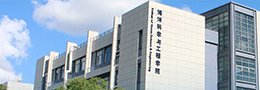 公开信息按发布时间滚动